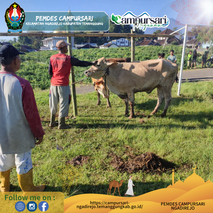 gambar-2